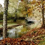 Waldfeeling