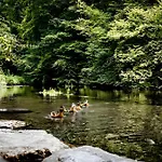 Waldfeeling