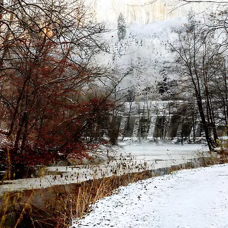 Waldfeeling Apartment *