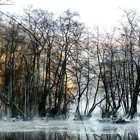 Waldfeeling Apartment *