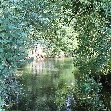 Waldfeeling * Brilon