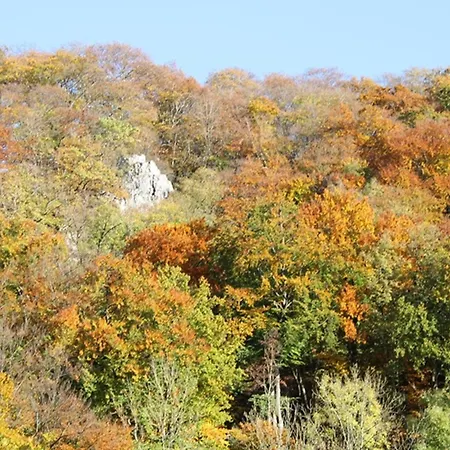 Apartment Waldfeeling Brilon