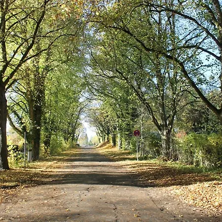 Waldfeeling Apartment Brilon