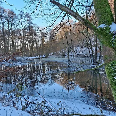 Waldfeeling Apartment Brilon