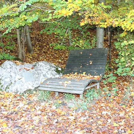 Waldfeeling Appartement *