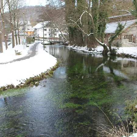 Waldfeeling