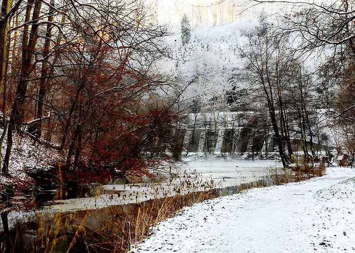 Waldfeeling Lejlighed *