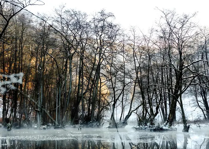 Waldfeeling Lejlighed *