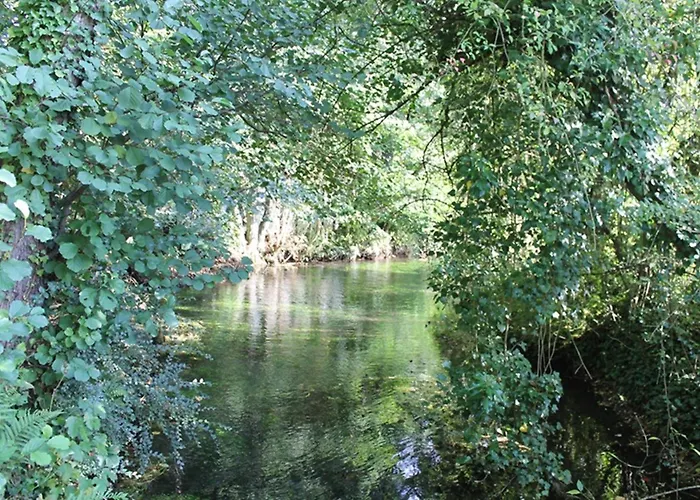 Waldfeeling * Brilon