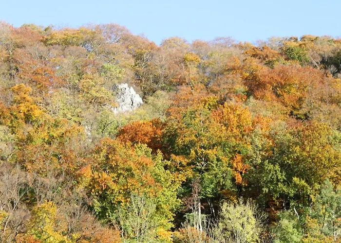 Lejlighed Waldfeeling Brilon