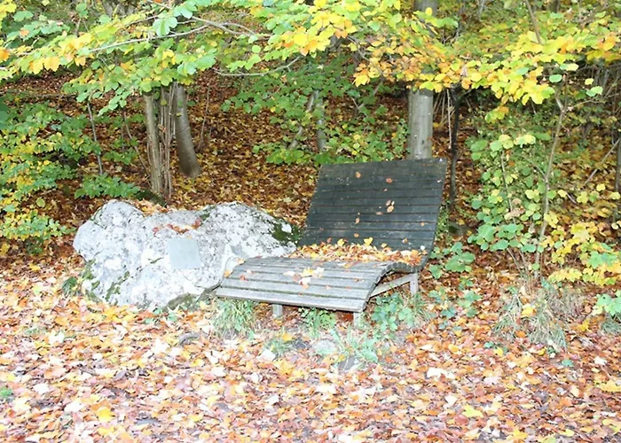 Waldfeeling * Brilon