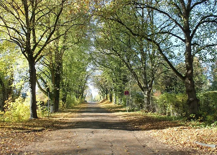 Waldfeeling Lejlighed Brilon