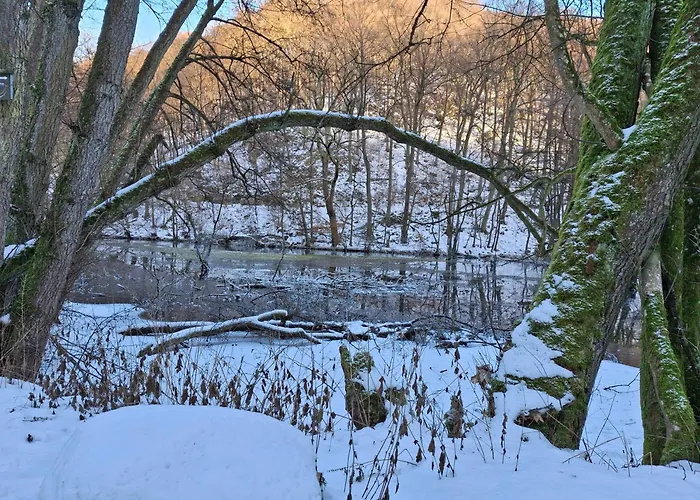 Lejlighed Waldfeeling *